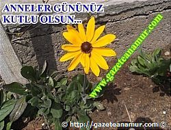 Anneler Gn, Kutlama Gn